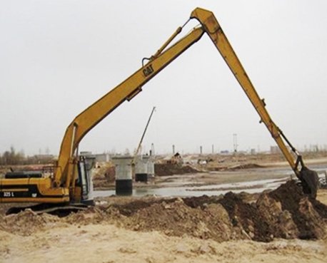 �����ھ������